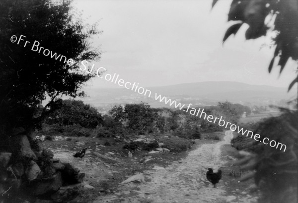 CHAPEL STREET SHOWING SLIEVE SNAGHT